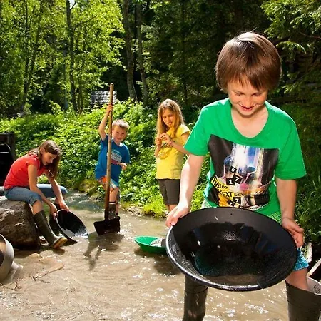 Rauriserhof 4 Sterne Superior 4*
